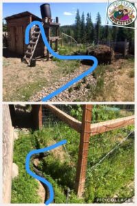 Using Compost to Heat Water Image